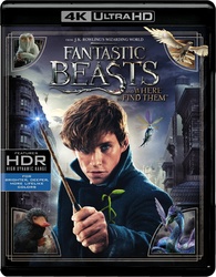 Fantastic Beasts And Where To Find Them (2016)