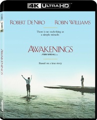Awakenings (1990)