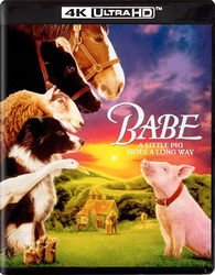 Babe (1995)