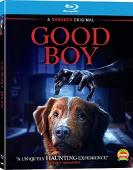 Good Boy (2025)