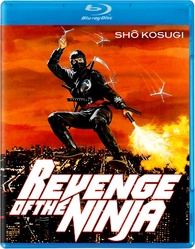 Revenge of the Ninja (1983)