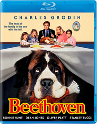Beethoven (1992)